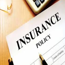 Insurance Icon